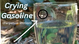 quotWine Tearsquot in Gasoline Marangoni Effect Explained Only video on YT showing this effect in gas [upl. by Kata]