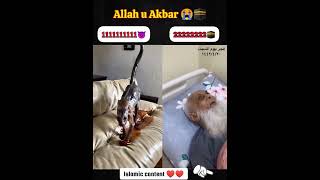 Allah Ho Akhbar islamicshort 11Mviews2025 video [upl. by Angelis523]