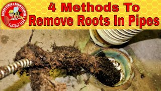 Four Ways For Removing Roots Inside Pipe A Drain Cure Guide [upl. by Jenette]