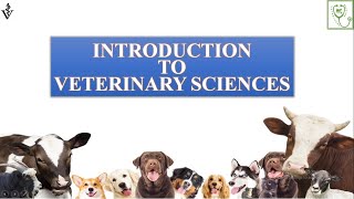 Introduction to Veterinary Sciences [upl. by Corbett]