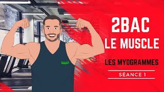 Le Muscle Séance 1  Les Myogrammes [upl. by Elenaj]