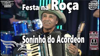 Festa na Roça  SONINHO DO ACORDEON Instrumental de Sanfona em Estúdio [upl. by Aldarcie]