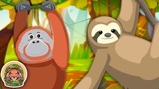 Learn About Endangered Animals  Animal Songs For Kids  KLT WILD [upl. by Haiasi]