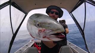 Kingfish jigging chaos and a grandaddy hapuka [upl. by Mccallion]