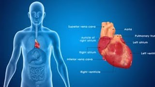 Becoming SELFAWARE To Identifying ROOT Cause of DISEASES [upl. by Ytirehc]