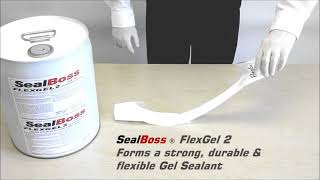 Hydrophilic Chemical Grout Injection Gel SealBoss FlexGel [upl. by Eesak221]