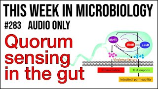 Bacterial Growth and Quorum Sensing [upl. by Nednyl589]