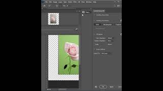 How to Resize an Image in Photoshop  Short Photoshop Tutorial [upl. by Nilson]