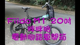 Fiido M1 20吋胖胖胎電動腳踏車 摺疊車 電輔車 登山車開箱 [upl. by Dirtsa806]