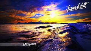 quotSneeuwkustquot ♫  Deep DJ Mix by Sam Feldt [upl. by Delastre188]