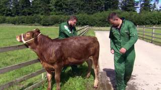 Farmers Apprentice episode 4 Getting Practical [upl. by Rubinstein]