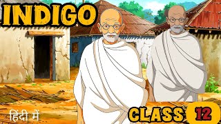 Indigo Class 12 in Hindi  Full Explained  Indigo Class 12  Flamingo chapter  5 [upl. by Alten]