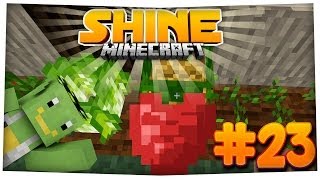 Perfektes Schlafzimmer  SHINE  23  Minecraft Modplay [upl. by Dnalevelc275]