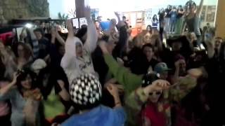 HARLEM SHAKE SGAGY Kladno [upl. by Bord403]