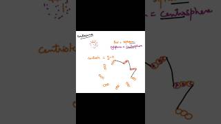 Centriole diagram explained neetbiology apbiology exam [upl. by Niamjneb]