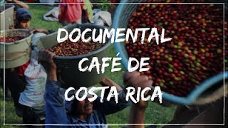 Documental del Café de Costa Rica [upl. by Sudaorb]