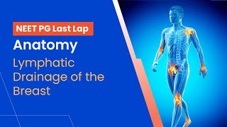 NEETPG Prep  Anatomy  Lymphatic Drainage of the Breast by Dr Tejaswi HL [upl. by Ulrica]