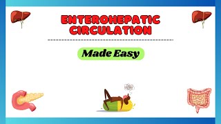 Enterohepatic circulation Enterohepatic recycling physiology made easy pharmacology made easy [upl. by Ail]