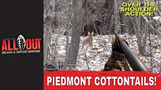 Piedmont Cottontails  Carolina ALL OUT  S7Ep12 [upl. by Rosenbaum910]