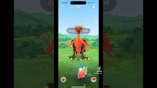 Ave De Galar Zapdos  Pokemon Go pokemon pokemongo zapdos [upl. by Lissak]