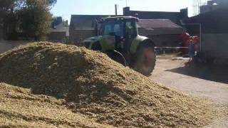 Ensilage par une Claas [upl. by Halueb]