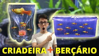 CRIADEIRA e BERÇÁRIO CASEIRO FÁCIL PARA PEIXES GUPPY PLATY MOLINESIA ESPADA ETC [upl. by Areht83]