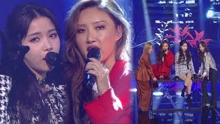 MAMAMOO마마무  Wind flower 인기가요 Inkigayo 20181216 [upl. by Relyhs200]