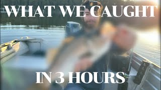 Fishing Batemans Bay in 3 Hours  What Can We Catch Vlog [upl. by Foushee140]