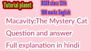 MacavityThe Mystery Cat Question and answer full explanation in hindiTutorial planet [upl. by Einohpets]