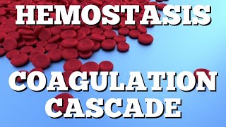 Secondary Hemostasis Coagulation Cascade Animation Made Easy [upl. by Dieter]