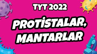 Protistalar ve Mantarlar  TYT Biyoloji 2022 hedefekoş [upl. by Mauer661]