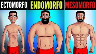 AS VANTAGENS E DESVANTAGENS DE CADA BIOTIPO ECTOMORFO ENDOMORFO E MESOMORFO [upl. by Willms]