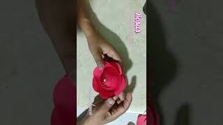 Idea para decorar Rosas eternas diy shortsvideo craft parati shortsviral shortsfeed art [upl. by Hterrag]