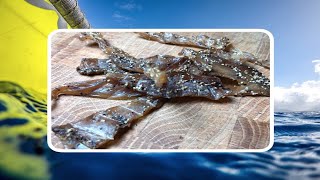 How to make Hawaiian style jerky  saved by the poor mans downrigger part 2 [upl. by Anir]