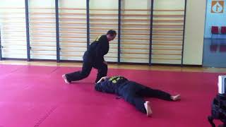 Hapkido  Distrito655  Artes marciales en Barcelona [upl. by Arehs768]