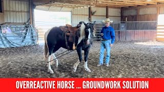 Fixing a Horses Overreactive Behavior BEFORE Riding [upl. by Mason97]