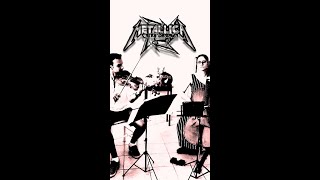 Enter Sandman by AM Strings violincello [upl. by Johanna]