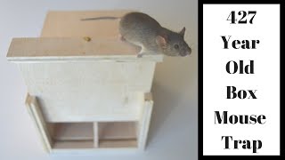 427 Year Old Style Mouse Trap In Action Mascall Square Box Mouse Trap [upl. by Atinaej]