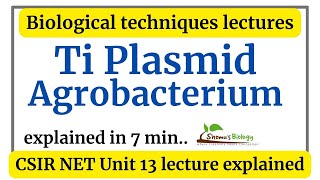 Ti plasmid of agrobacterium in Hindi  Ti plasmid in agrobacterium transformation [upl. by Aurthur]