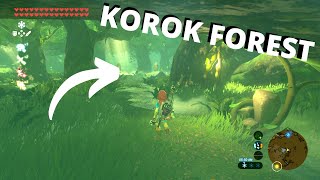 How to Get to the CENTER of the KOROK FORESTLOST WOODS  Zelda Breath of the Wild shorts [upl. by Nonnaihr]