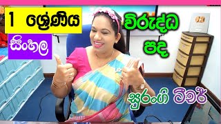 Sinhala Lessons Grade 1 Virudda Pada Grade 1 විරුද්ධ පද Wirudhdha Pada Sinhala Akuru Hodiya [upl. by Asirralc]