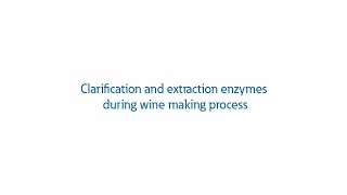 Clarification and extraction enzymes [upl. by Vladimar]