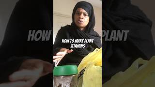 HOW TO FEED YOUR INDOOR PLANTS WITH HOMEMADE FERTILIZER [upl. by Devan48]