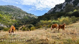 For Sale Large Hunting Estate in Antequera Andalusia Spain [upl. by Pascia]