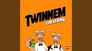 TWINNEM [upl. by Flor]