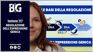 REGOLAZIONE DELLESPRESSIONE GENICA  LE BASI [upl. by Anawit]