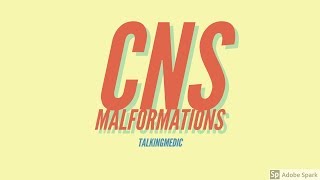 Pediatric CNS Malformations EXPLAINED [upl. by Ynoyrb360]