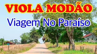 VIOLA CAIPIRA RAIZ  MODÃO PAGODÃO E SERTANEJÃO CAIPIRA [upl. by Atsugua]