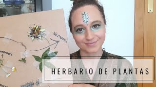 CÓMO CREAR UN HERBARIO DE PLANTAS MEDICINALES  IDEAS DIY [upl. by Aralk]