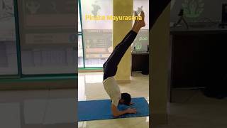 PinchamayurasanaForearm standYoga pose inversion shorts onlineyogateachertraining [upl. by Curkell465]